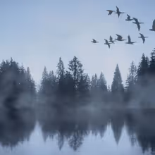 SWAN LAKE is Now Playing at the National Theatre in Prague