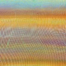 Scottsdale Center For The Performing Arts Celebrates 50 Years Of Visual Art With New 