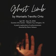 Avant Bard Will Bring GHOST LIMB to Gunston Arts Center Theatre