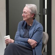 Review Roundup: THE DINOSAURS at Playwrights Horizons