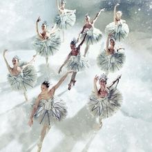 NOTENKRAKER & MUIZENKONING Comes to the Dutch National Opera