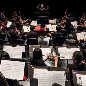 Wharton Arts Presents Violins Of Hope In A CONCERT FOR PEACE Interview