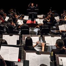 Wharton Arts Presents Violins Of Hope In A CONCERT FOR PEACE