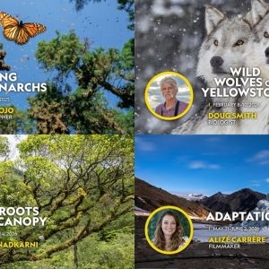 NATIONAL GEOGRAPHIC LIVE Set for 2025/26 Season At Roy Thomson Hall