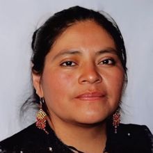 Analizarán En Charlas Virtuales El Estado Actual De Las Lenguas Originarias En Méxi