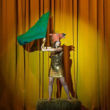 Bloomshed to Stage Rework of ANIMAL FARM at Arts Centre Melbourne