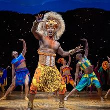 THE LION KING to Return to Brisbane's QPAC for First Time in Over a Decade