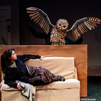 YAMEL CUCUY to Return to Latino Theater Company This Fall