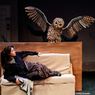 YAMEL CUCUY to Return to Latino Theater Company This Fall