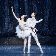 Boston Ballet Unveils 2026-2027 Season Featuring CINDERELLA and COPPÉLIA