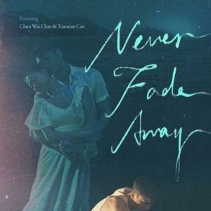 Short Film NEVER FADE AWAY Will Screen at The Jamestown Arts Center In Conjunction…