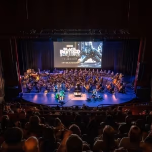BLACK PANTHER In Concert and More On Stage At The Auditorium Theatre This Summer