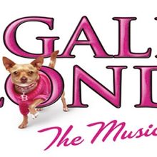 LEGALLY BLONDE THE MUSICAL Comes to South Africa in 2024