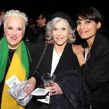 Photos: DEAR EVERYTHING Climate Control Benefit Performance