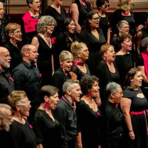 The Sydney Gay and Lesbian Choir Perform WE BELONG Next Weekend