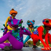 Beloved Hartford Arts Tradition Night Fall Returns to Bushnell Park