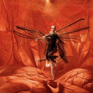 Bangarra Dance Theatre Will Embark on 2025 National Tour With ILLUME
