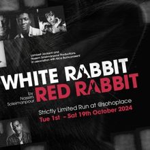 Jonathan Pryce, Michael Sheen & More to Star in WHITE RABBIT RED RABBIT @sohoplace