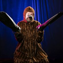 THE PLATYPUS Comes to St. Kilda in June