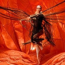 ILLUME Will Light Up QPAC's Playhouse This August