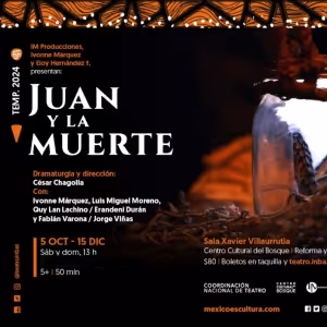 Obras De Teatro Para Niñas, Niños Y Jóvenes En El Centro Cultural Del Bosque