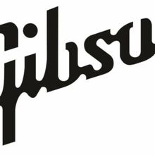 Photos: Gibson DES Series and SANCTUARY Benefit Single Support Save The Music
