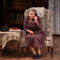 Photos: Judy Kaye, Bernard Dotson and Jim Poulos in DRIVING MISS DAISY at Theatre Aspen