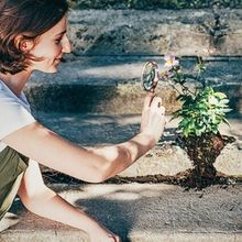 POP UP GARDEN Will Come to Salon Stolz in July