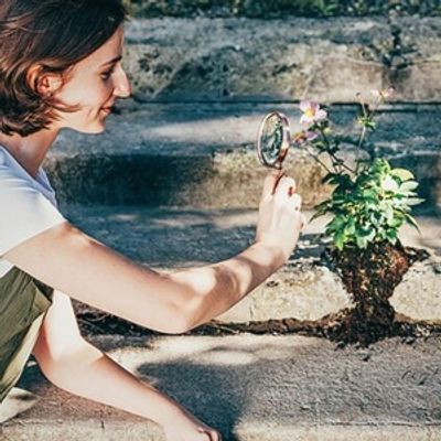 POP UP GARDEN Will Come to Salon Stolz in July