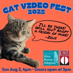 CATVIDEOFEST 2025 Returns to The Park Theatre in August