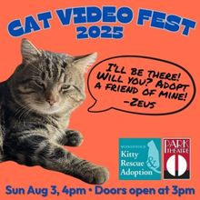 CATVIDEOFEST 2025 Returns to The Park Theatre in August