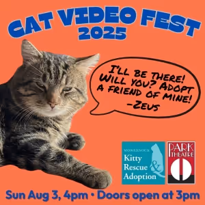 CATVIDEOFEST 2025 Returns to The Park Theatre in August