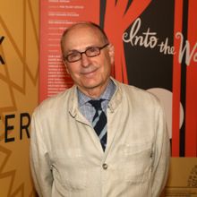 A Director's Director: Broadway Stars Share Their Favorite James Lapine Stories