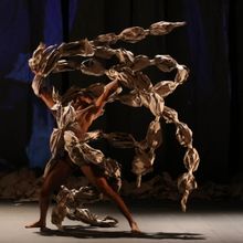Ciclo Coreografía Contemporánea De Brasil En México: Una MiraDa A La Diversidad Co