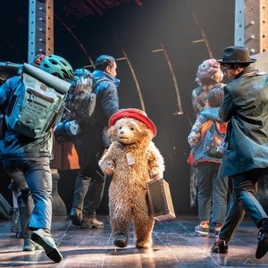Photos: PADDINGTON THE MUSICAL Reveals First Look at Bear, Extends West End Run