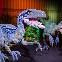 JURASSIC WORLD BY BRICKMAN Exhibition Extends