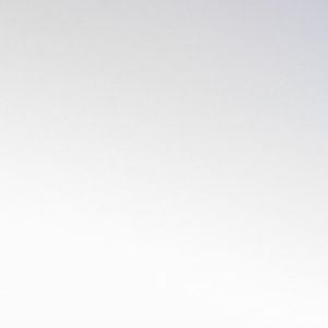 Music League and Roxxem Win Music Tectonics' 2025 Swimming With Narwhals Startup Competition