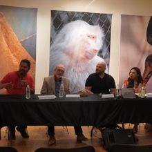 Presentan El Libro 60 Años Del Oasis Cultural De México, Que Recorre La Historia D