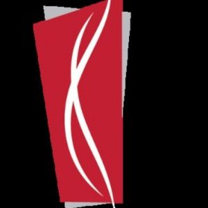Nashville Ballet To Host Second Annual NASHVILLE DANCE FESTIVAL Next Month