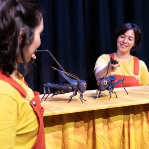 Photos: First Look at the Colorful Creatures of THE ERIC CARLE STORY SHOW