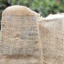 María José De La Macorra Lleva Su Jardín Alterno Al Museo De Arte Moderno