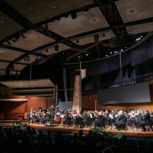 Elmhurst Symphony Orchestra Performs CELEBRATION OF THE DANCE in January