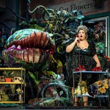Photos: First Look at Paramount Theatre's LITTLE SHOP OF HORRORS