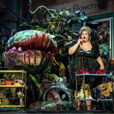 Photos: First Look at Paramount Theatre's LITTLE SHOP OF HORRORS