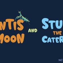 THE MANTIS AND THE MOON and STUBBY THE CATERPILLAR Come to National Children’s Thea