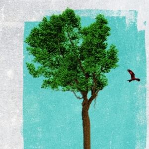JUNIPER BLOOD, THE MAIDS, and WHEN WE ARE MARRIED Set For Donmar Warehouse