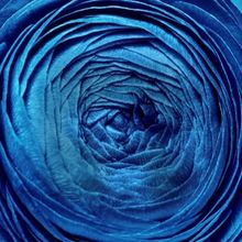 Cast Set For Signature Theatre's ORATORIO FOR LIVING THINGS