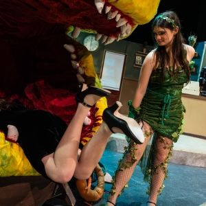 Photos: First look at Dublin Jerome High School Drama Club presents LITTLE SHOP OF…