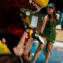 Photos: First look at Dublin Jerome High School Drama Club presents LITTLE SHOP OF HO