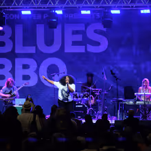 BLUES BBQ FESTIVAL to Return to Hudson River Park for 26th Annual Edition